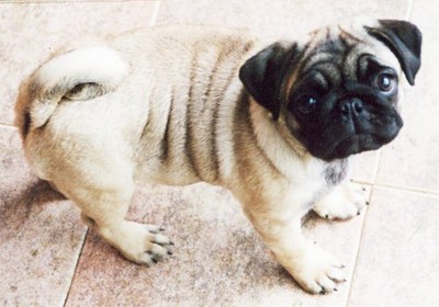 Obrazek do zoom'owania :)
